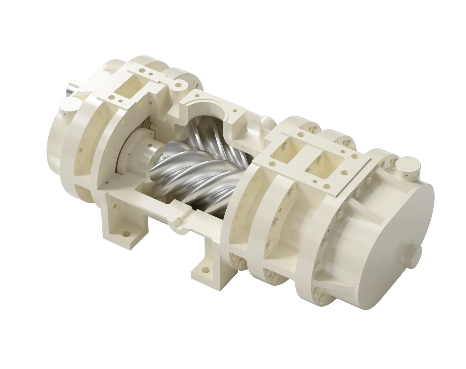 Cutaway rendering of a dry screw vacuum pump showing two helical rotors inside the pumping chamber; illustrative structure only, not a universal drawing for every model
